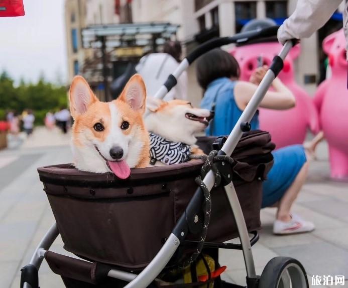 苏州周边两日游推荐 苏州周边两日游哪里好玩