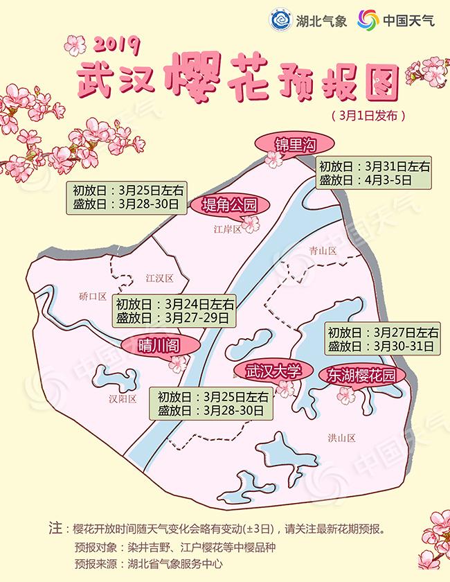 樱花预报-650.jpg