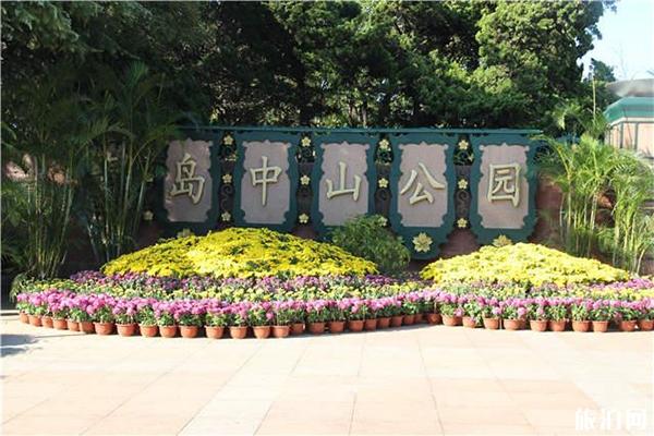 2019青岛中山公园菊花展10月26日开启
