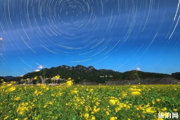 绿江村最适合几月去 绿江村最佳旅游时间和季节 绿江村最适合几月去 绿江村最佳旅游时间和季节