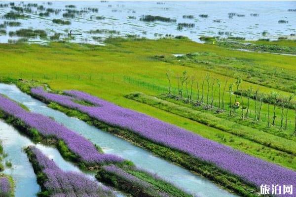 贵州秋游景点有哪些好玩的地方 贵州秋游景点有哪些好玩的地方