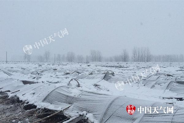 江苏雨雪今日暂休 6-8日低温雨雪冰冻又至