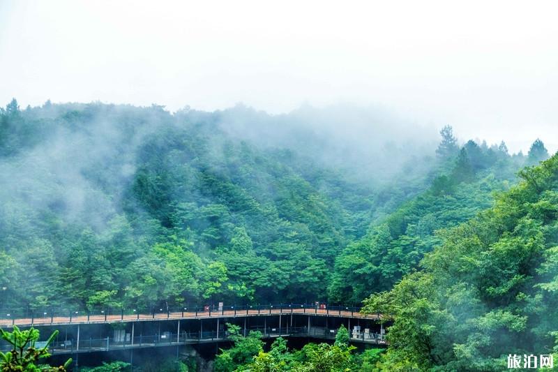 重庆三日游最佳攻略纯玩 重庆三日游最佳攻略纯玩