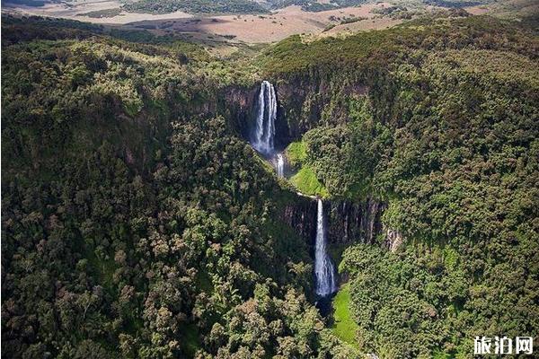 狮子王取景地是哪儿 狮子王取景地是哪儿