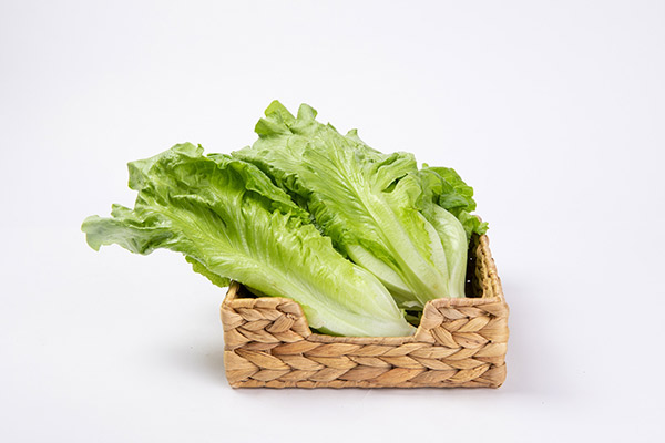 露天生菜种植方法 生菜怎么种