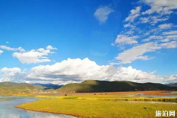 云南避暑胜地有哪些