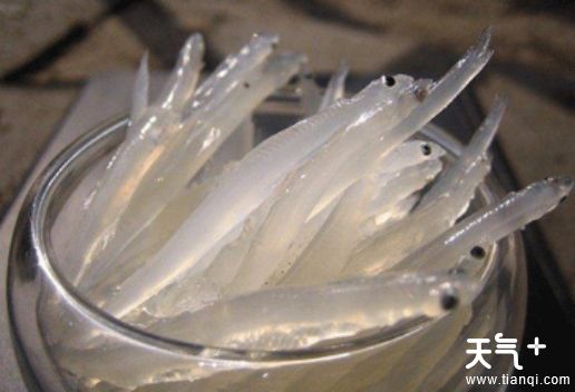 苏州虎丘知名特产有哪些？