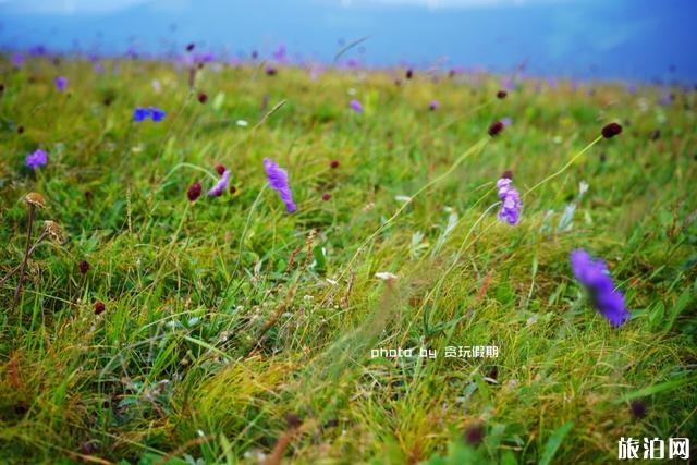 北京到柳树沟森林公园自驾攻略 北京到柳树沟森林公园自驾攻略