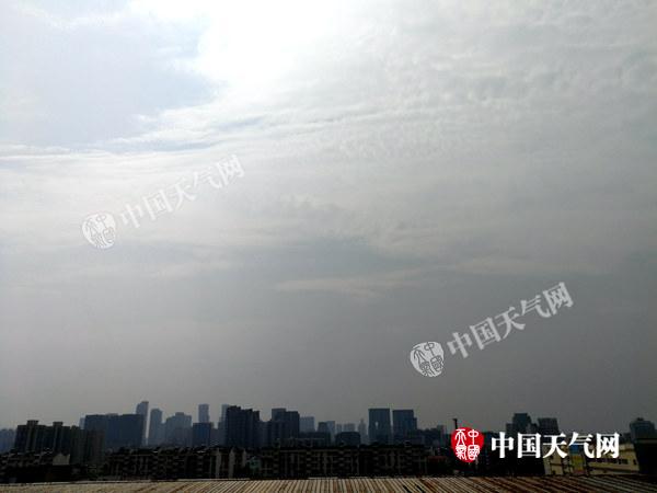 QQ图片20180411110830.jpg