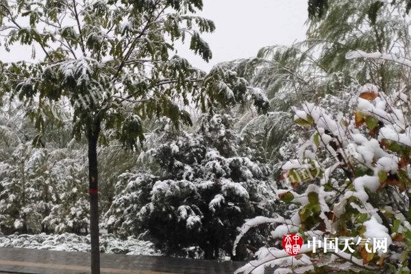 宁夏发布暴雪蓝色预警迎下半年初雪 最低气温跌至零下