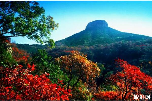 枣庄山亭抱犊崮景区在哪里 附七夕活动攻略 枣庄山亭抱犊崮景区在哪里 附七夕活动攻略
