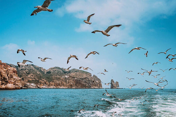 烟台有什么好玩的地方 烟台去哪里玩比较好