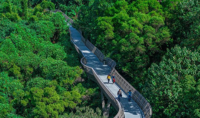 感兴趣就去福州：空中绿道 城市幽境