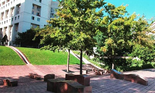 法国有名的大学有哪些