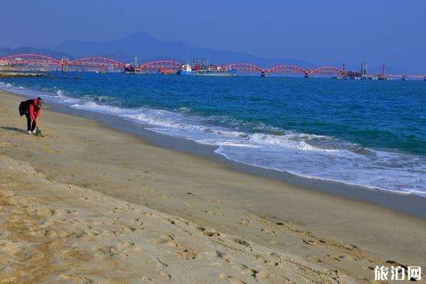 2019中秋深圳玫瑰海岸猜灯谜活动详情 2019中秋深圳玫瑰海岸猜灯谜活动详情