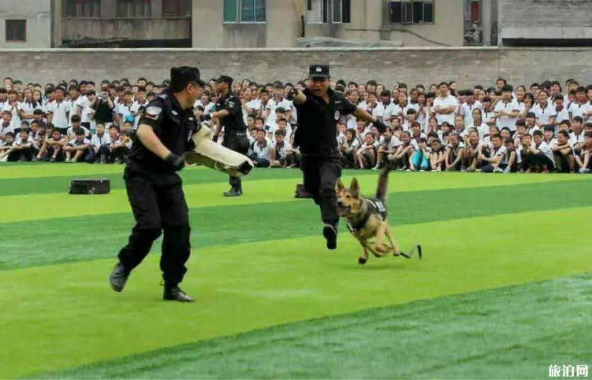 2019亚洲宠物展反恐特战犬时间+地点+活动看点