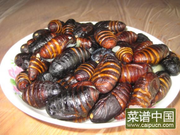 盐水煮蚕蛹