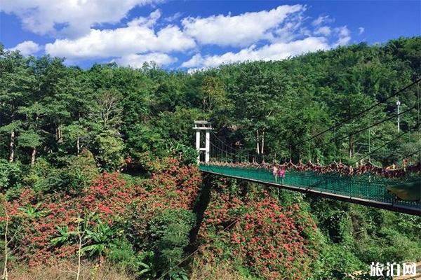 西双版纳原始森林公园丛林飞跃多少钱 公园门票+开放时间