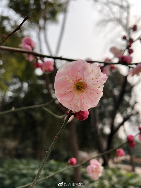 北方多地剧烈降温 南方阴雨大雾扰交通