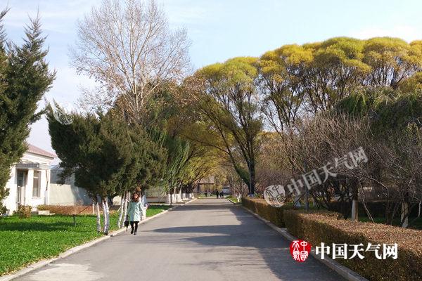 黄淮江汉等回暖至20℃ 西南雨雪减弱