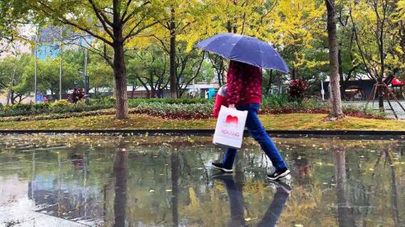 上海连日均气温破22℃正式入夏 这周末多阵雨伴有降温