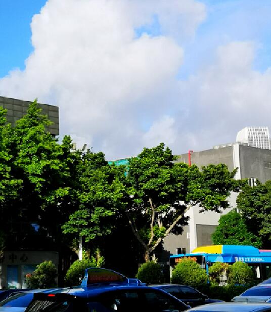 广东高考最后一天依然晴热+雷雨 部分市县仍高温37℃