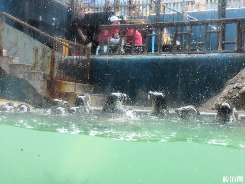 蓬莱三日游旅游攻略 蓬莱三日游景点推荐