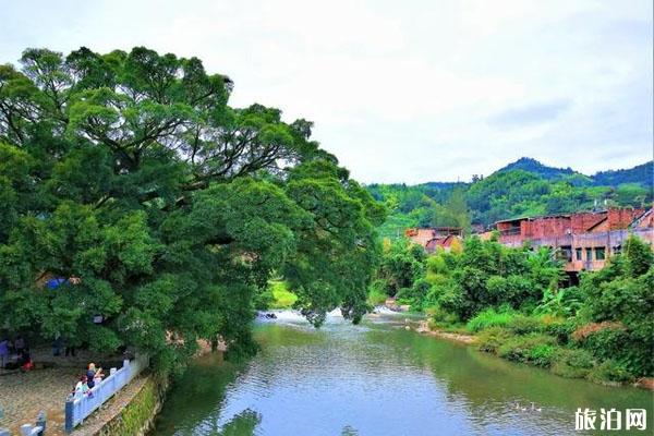 福建周边有哪些便宜又好玩的避暑胜地 分别又有哪些特色 福建周边有哪些便宜又好玩的避暑胜地 分别又有哪些特色