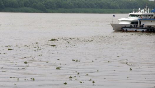 江苏发布秦淮河洪水蓝色预警 未来几日南京仍有强降雨