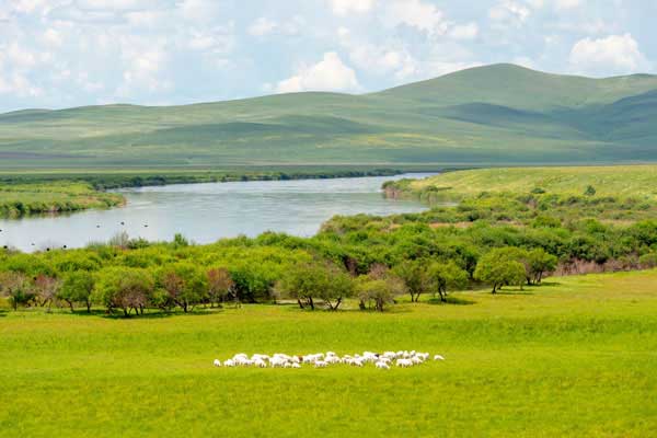 坝上草原几月份去好 坝上草原最佳旅游时间