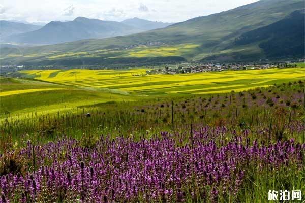 青海旅游路线攻略 青海一到八日旅游路线推荐