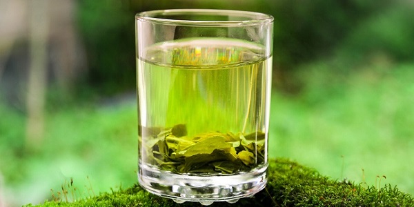 绿茶有哪些品种 绿茶的种类