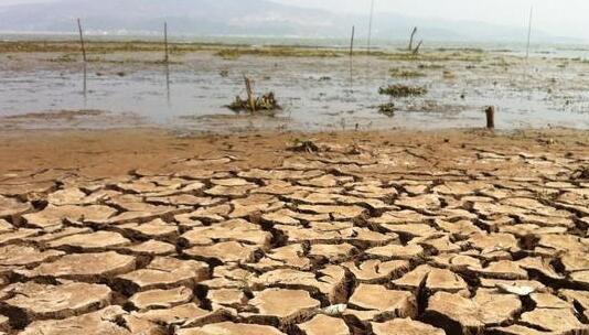 沈阳实施人工降雨缓解气象干旱 全地区最大降水量20.3毫米