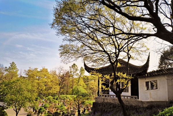 苏州虎丘门票多少钱 苏州虎丘门票价格