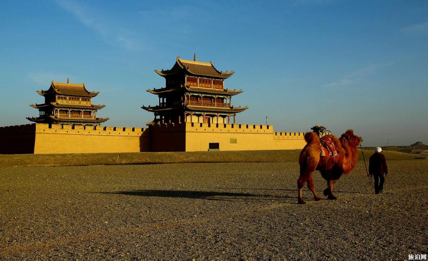 额济纳旗自由行七日游攻略