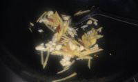 干焖剥皮鱼的做法步骤5
