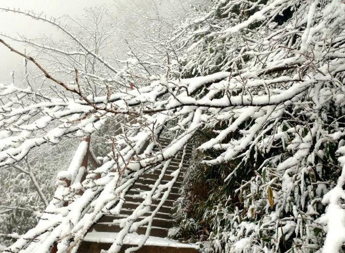 披银霜！四川万源八台山迎来今冬首场大雪