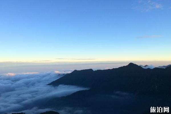 梵净山游记800字 梵净山旅游游记作文