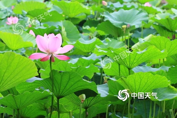 未来三天雨水渐多 气温略有下降