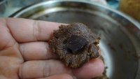 可可雪球的做法步骤5