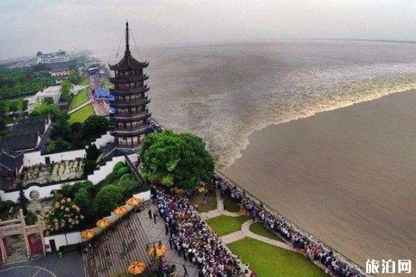 2019钱塘江观潮节车辆通行证申请指南+交通管制