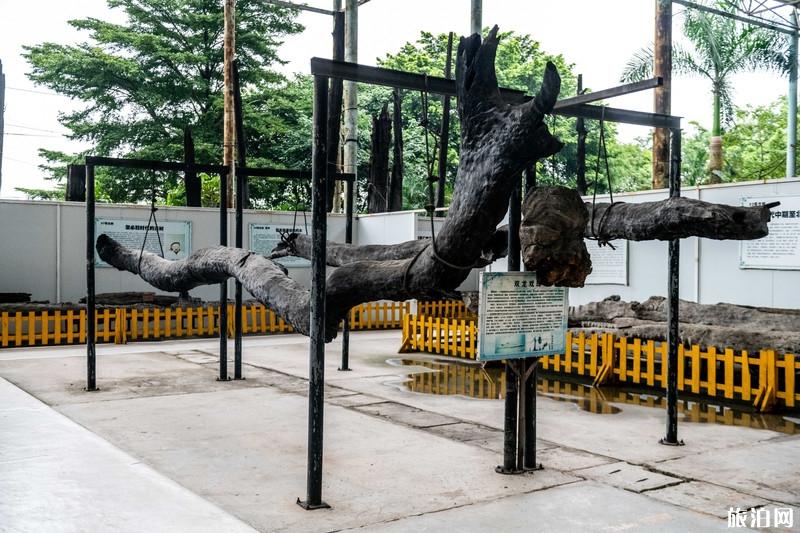 东莞观音山国家森林公园好玩吗 东莞观音山国家森林公园游玩攻略 东莞观音山国家森林公园好玩吗 东莞观音山国家森林公园游玩攻略