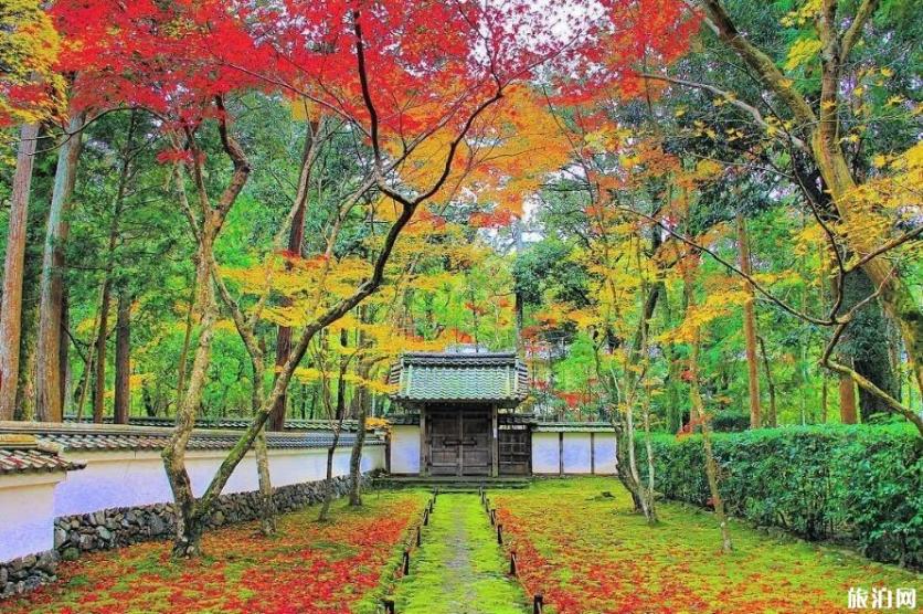 2019日本赏枫叶的最佳季节+最佳地方