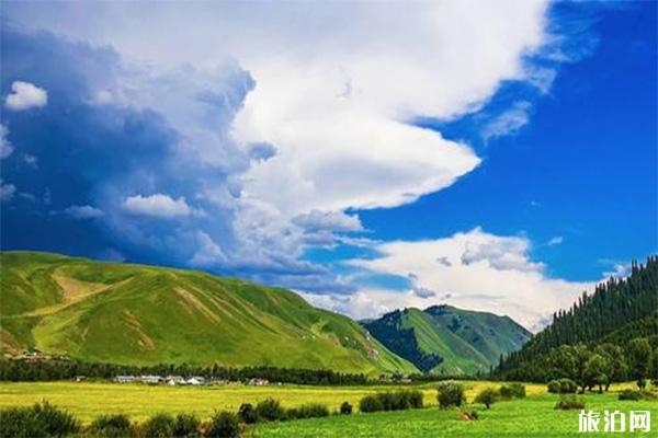 巴音布鲁克草原景区当地住宿+交通+饮食
