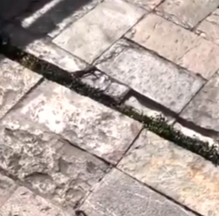 直击墨西哥7.4级强震现场图集  2020墨西哥发生7.4级地震现场图汇