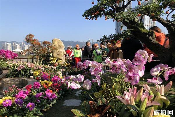 2019重庆江北嘴中央商务区城市花博会11月1日开启