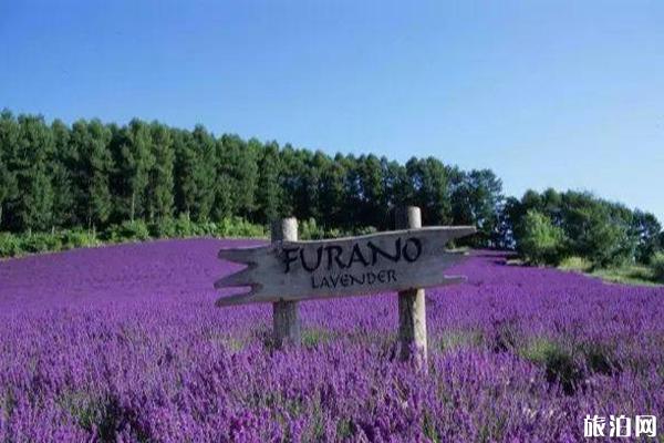 夏季日本旅游去哪好+旅游攻略