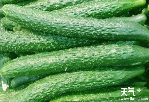 山东济宁汶上县知名特产有哪些 可以带回家的汶上特产