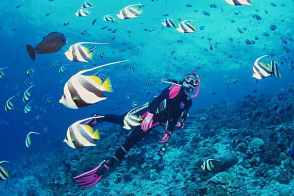 蜈支洲岛门票多少钱 蜈支洲岛门票价格