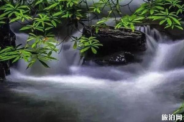 云南玉溪旅游景点介绍